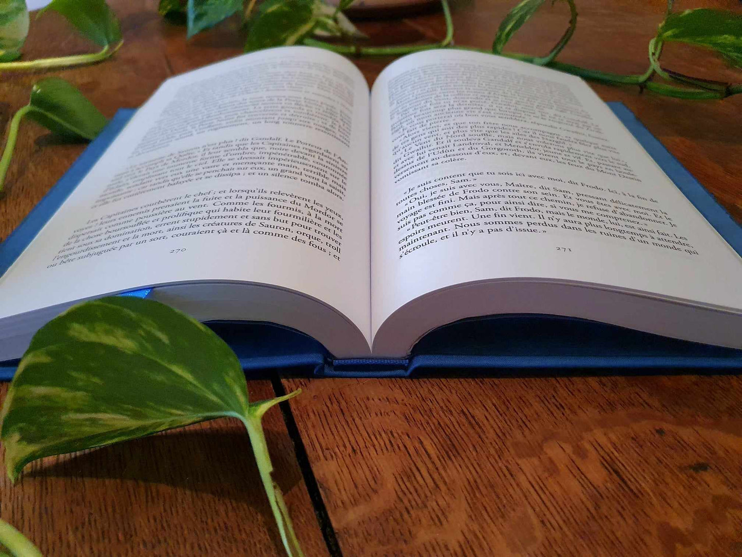 Le Seigneur des Anneaux - 3 tomes